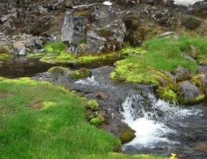 IJSLAND 300pic  1031