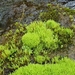 IJSLAND 300pic  1032