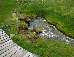 IJSLAND 300pic  1037
