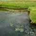 IJSLAND 300pic  1038