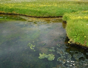 IJSLAND 300pic  1038