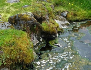 IJSLAND 300pic  1040
