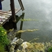 IJSLAND 300pic  1046
