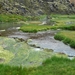 IJSLAND 300pic  1049