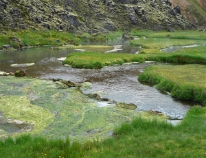 IJSLAND 300pic  1049