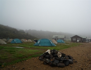 IJSLAND 300pic  1059