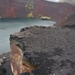 IJSLAND 300pic  1064