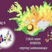 IJSLAND 300pic  1065