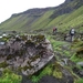 IJSLAND 300pic  1073