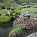 IJSLAND 300pic  1076