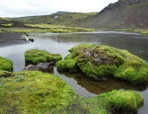 IJSLAND 300pic  1082