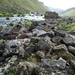 IJSLAND 300pic  1086