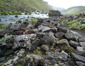 IJSLAND 300pic  1086