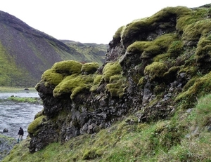 IJSLAND 300pic  1088