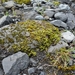 IJSLAND 300pic  1089