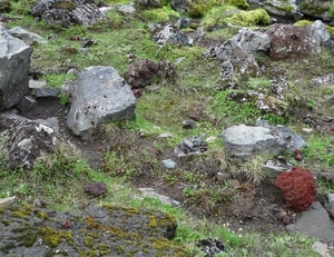IJSLAND 300pic  1090
