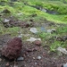 IJSLAND 300pic  1091