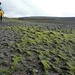 IJSLAND 300pic  1101