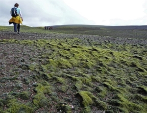 IJSLAND 300pic  1101