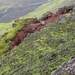 IJSLAND 300pic  1107