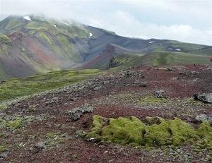 IJSLAND 300pic  1109