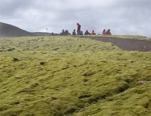 IJSLAND 300pic  1112