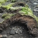 IJSLAND 300pic  1125