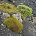 IJSLAND 300pic  1126