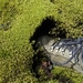 IJSLAND 300pic  1128