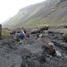 IJSLAND 300pic  1152