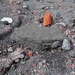 IJSLAND 300pic  1154