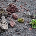 IJSLAND 300pic  1155