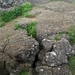 IJSLAND 300pic  1194