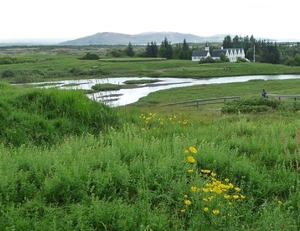 IJSLAND 300pic  1198