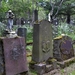 IJSLAND 300pic  1225