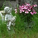 IJSLAND 300pic  1227