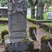 IJSLAND 300pic  1230