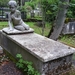 IJSLAND 300pic  1231