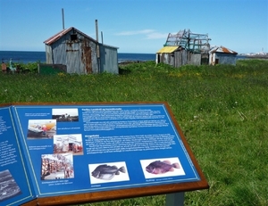 IJSLAND 300pic  1249