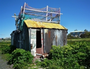 IJSLAND 300pic  1250