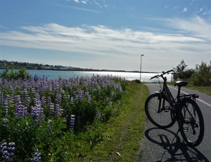 IJSLAND 300pic  1255