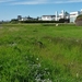 IJSLAND 300pic  1257