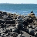 IJSLAND 300pic  1261
