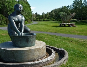 IJSLAND 300pic  1266