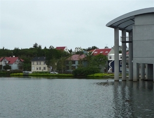 IJSLAND 300pic  1274