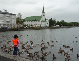 IJSLAND 300pic  1277