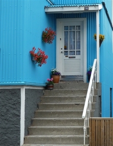 IJSLAND 300pic  1290