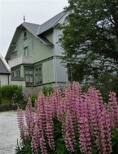 IJSLAND 300pic  1304