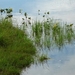 IJSLAND 300pic  0259