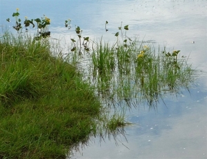 IJSLAND 300pic  0259
